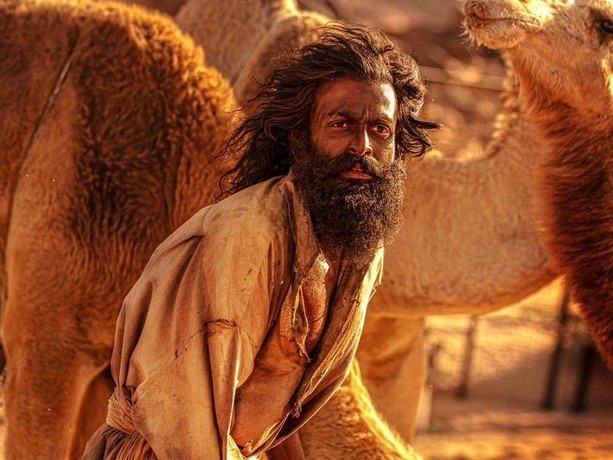 What's Behind The Goat Life (2024)