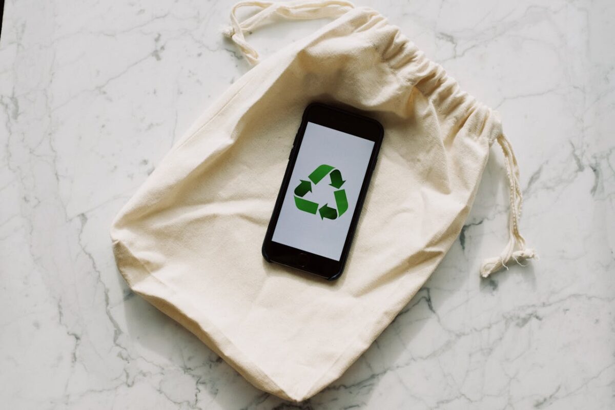 Businesses that are friendly to the environment: how recycling may be turned into a profitable startup