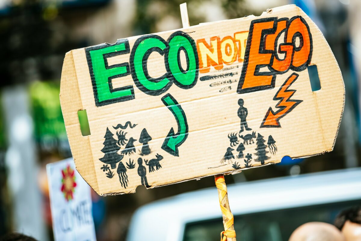 What You Need to Know to Get Your Eco-Recycling Startup Off the Ground in 2025 that Will Be Profitable